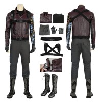 Marvel The Falcon and the Winter Soldier Bucky Barnes Cosplay Costume Full Set  